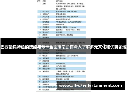 巴西最具特色的技能与专长全面指南助你深入了解多元文化和优势领域