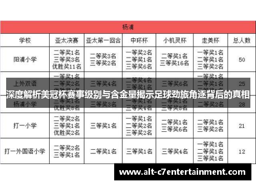 深度解析美冠杯赛事级别与含金量揭示足球劲旅角逐背后的真相