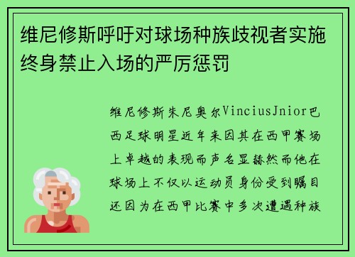 维尼修斯呼吁对球场种族歧视者实施终身禁止入场的严厉惩罚