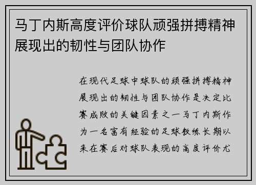 马丁内斯高度评价球队顽强拼搏精神展现出的韧性与团队协作 马丁内斯高度评价球队顽强拼搏精神展现出的韧性与团队协作